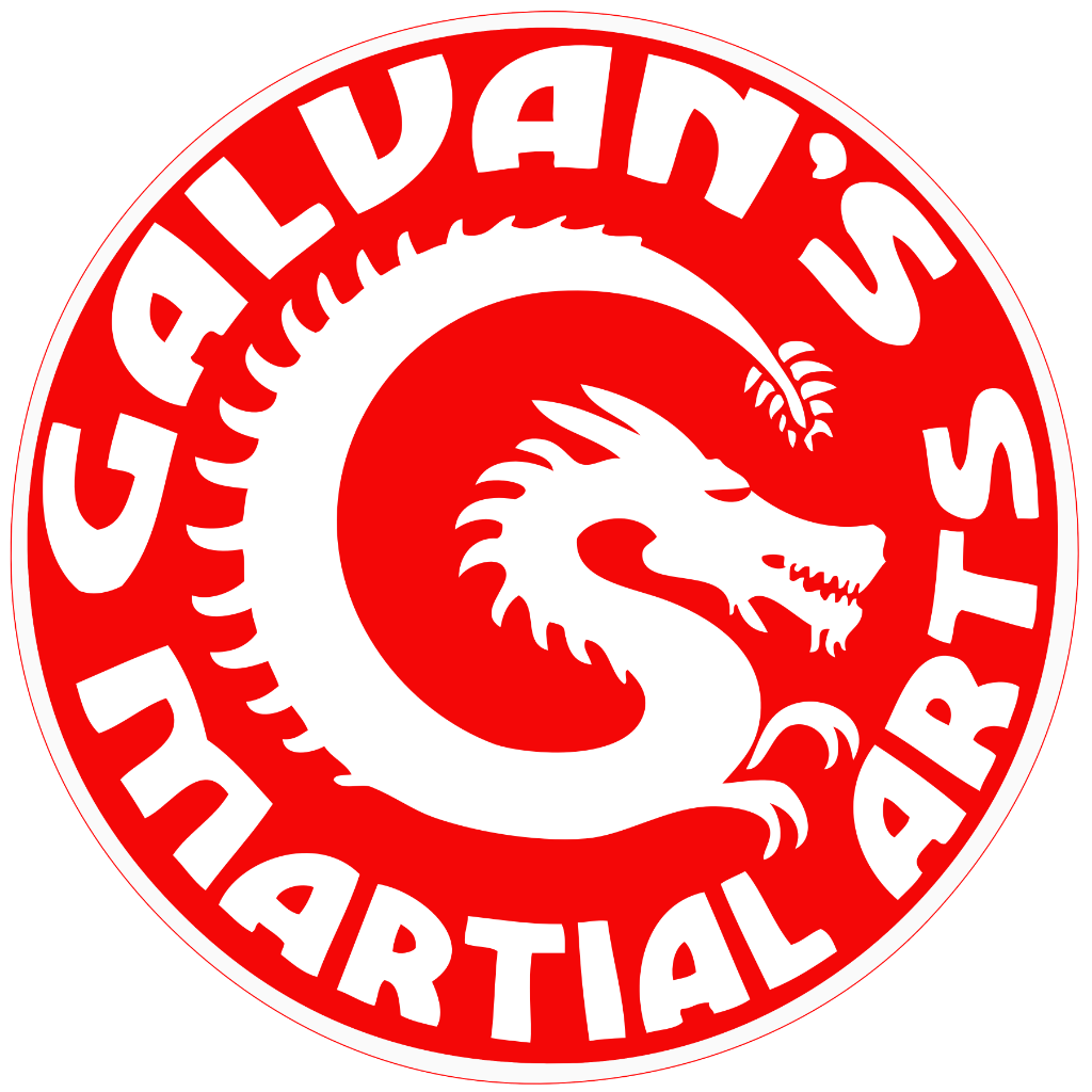 Galvan's Martial Arts circular red and white logo featuring a coiled dragon forming the letter G, with "Galvan's Martial Arts" text around the border